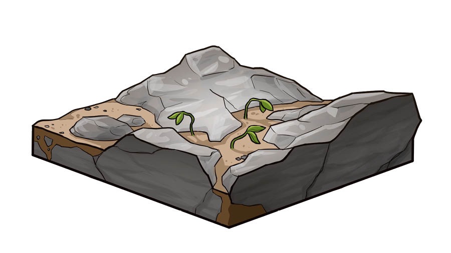 岩の上の土。