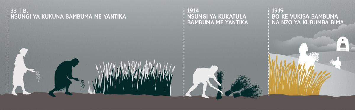 Tablo ya ke monisa nsungi ya kukuna, ya kukatula bambuma, mpi ya kutula yo na nzo ya kubumba bima