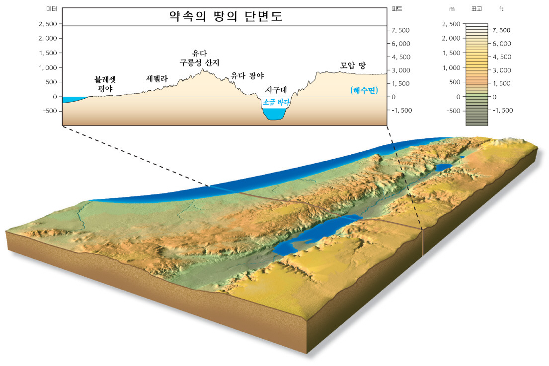 약속의 땅의 단면도