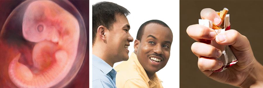 1. Muana utshidi munda mua mamu; 2. Balunda babidi ba mu bisamba bishilangane; 3. Muntu usunsula dibuki dia makanya