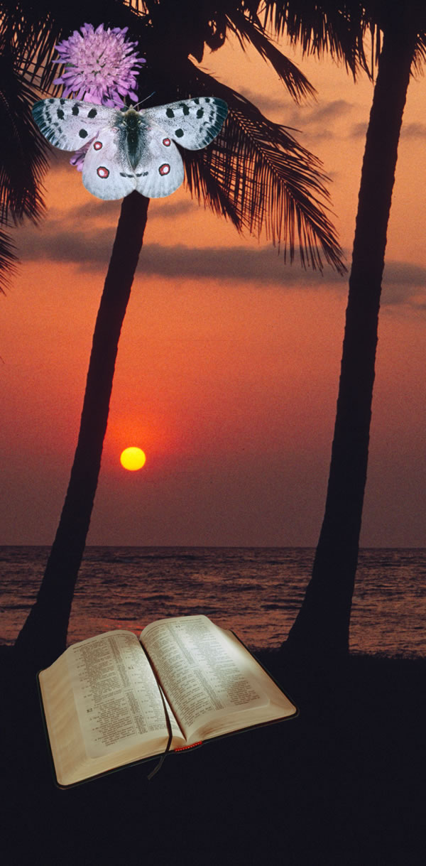 Foto milamakaja: Imue mishindu itu Yehowa udimanyisha. 1. Tshilongo ne tshibeyibeyi. 2. Mudi dîba dibuela ku kala kua mâyi. 3. Bible mubulula.