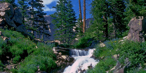 Tshibila tshia mâyi tshilengele tshinyunguluka kudi mitshi mile ne mikuna.