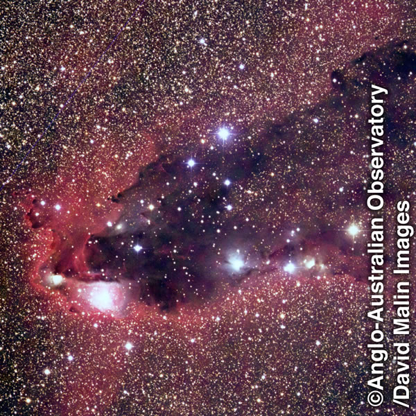 Mitoto idi ibalakana ne bikata bia mitoto idibu batangidile mu teleskope.