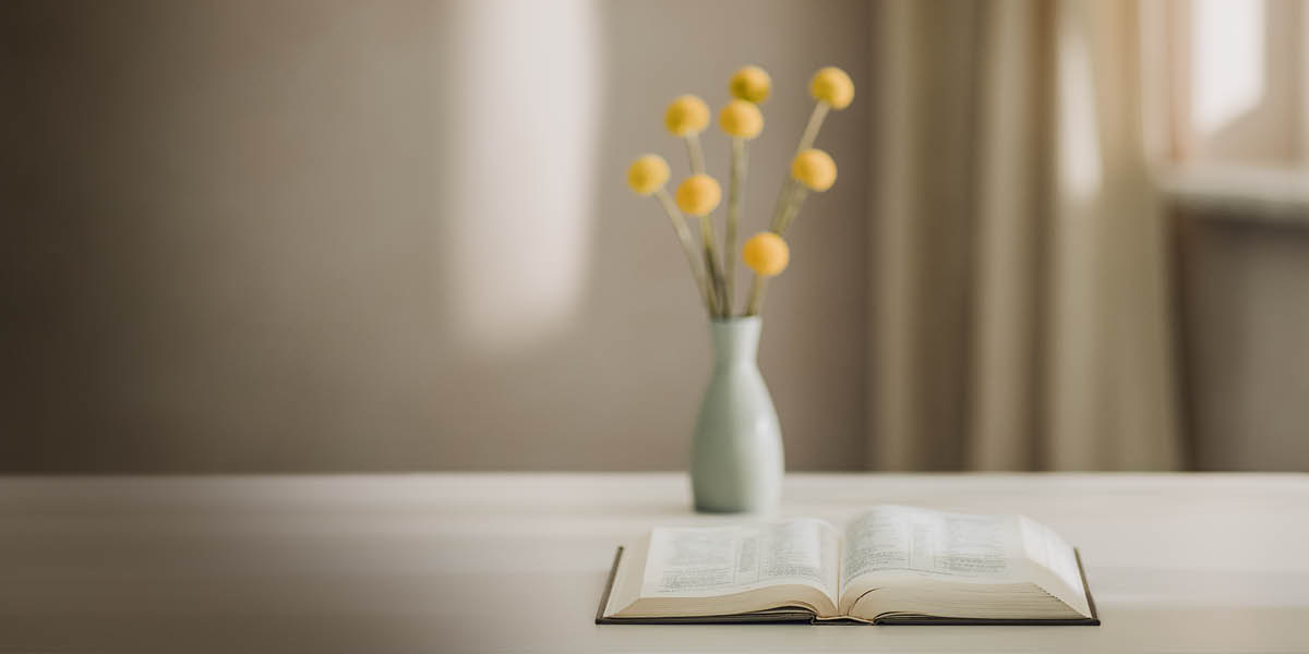 Bible mubulula ku luseke lua kalondo ka bilongo.