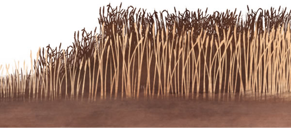 Mponda ne lupela bikolela kaba kamue