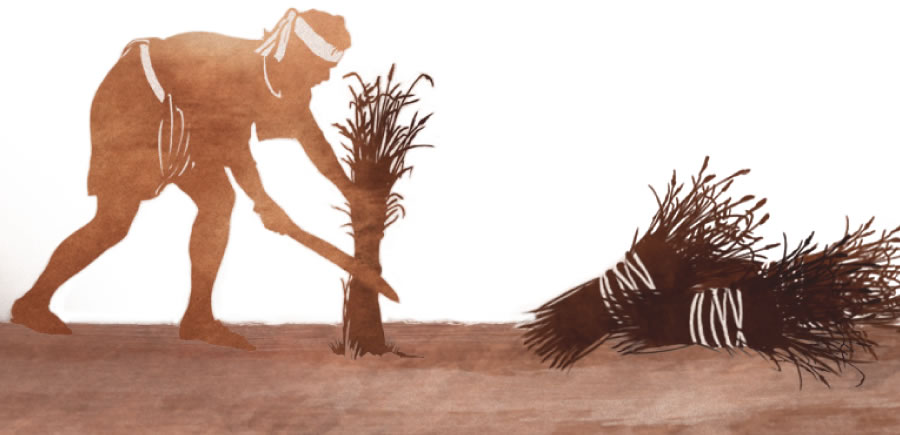 Munowi ukungija lupela ne ulushika