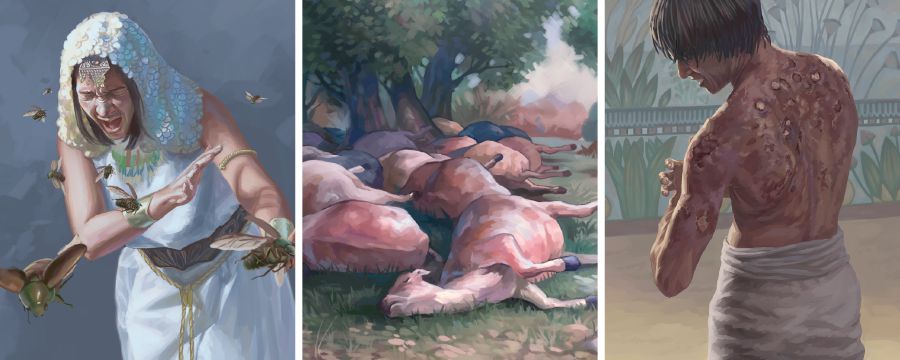 Tshipupu tshia mu Ejipitu 4 too ne 6: mabubu, tshipupu tshivua tshikuate bimuna, biuwuja