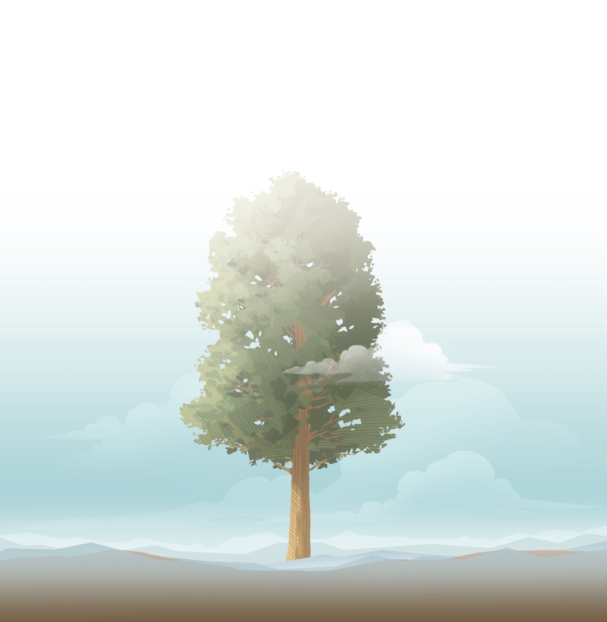 Mutshi mule mutumbuke.