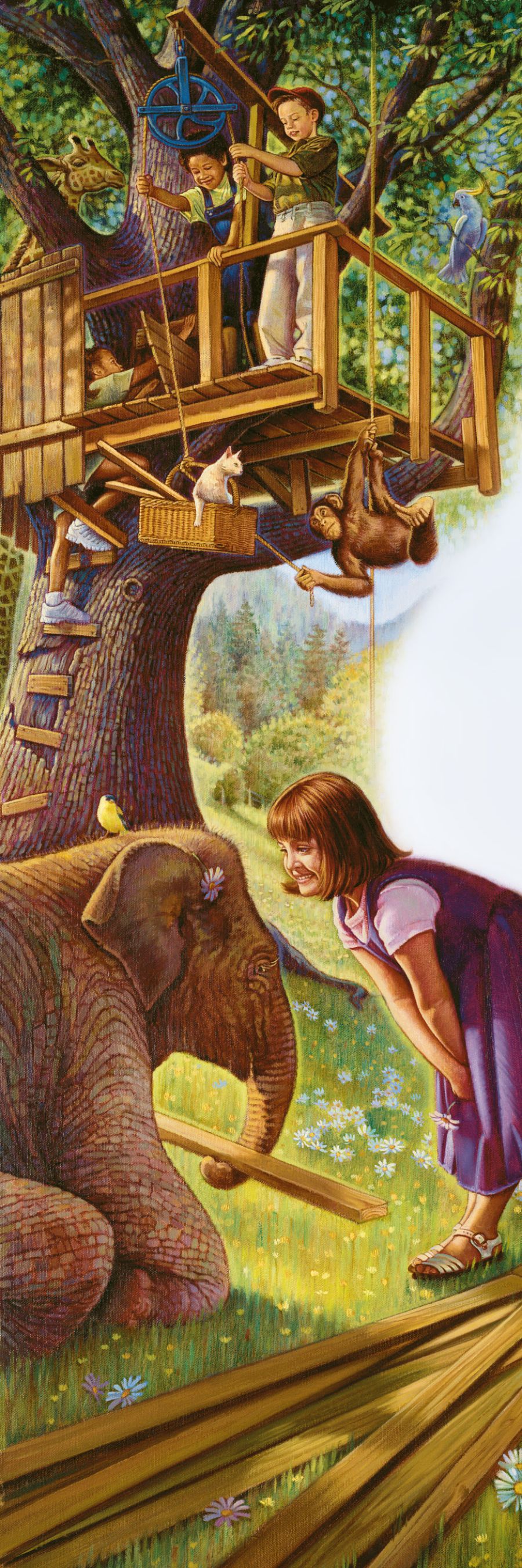 Bana mu kazubu kadi ku mutshi banaya ne nyama