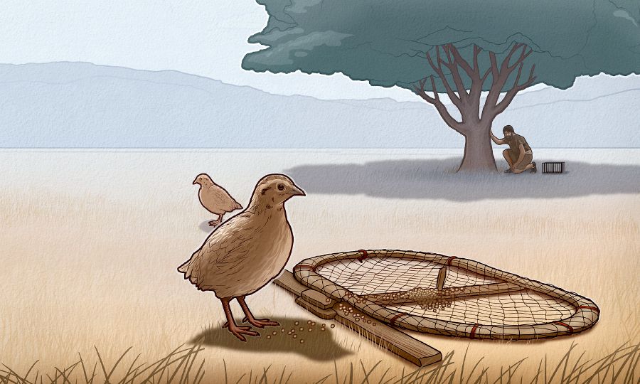 Nyunyi mutangile diteyi, tshilembi tshia nyunyi musokome pabuipi apu