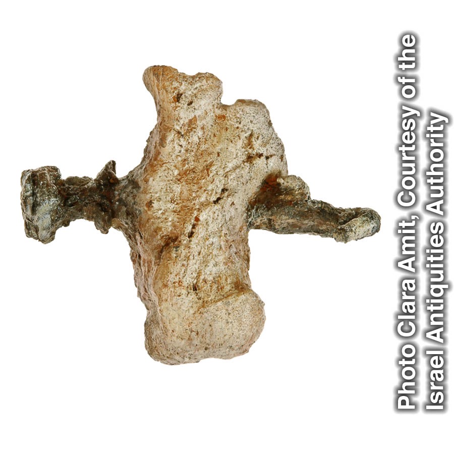 Musonso mubueja mu tshikankanyi tshia muntu