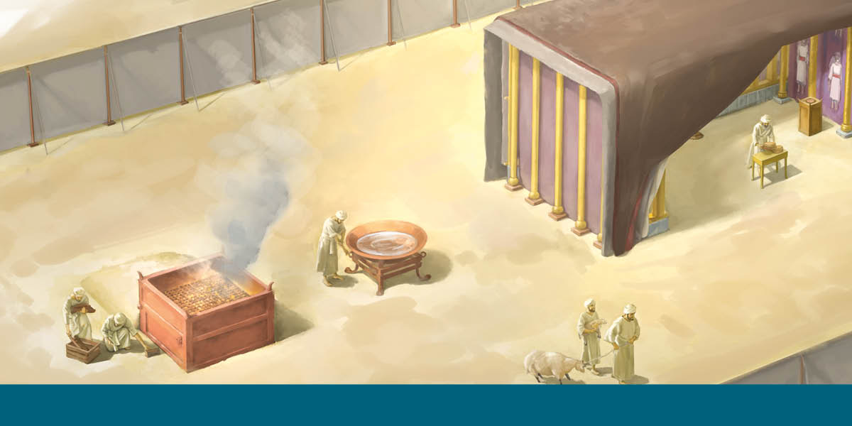 Bakuidi mu ntenta wa tshitendelelu benza midimu yabu pabuipi ne dilongo dinene dia tshiamu tshia mitaku ne tshioshelu tshia mulambu wa kuosha. Muakuidi muimane ku mêsa a mampa a dileja mu Muaba wa Tshijila.