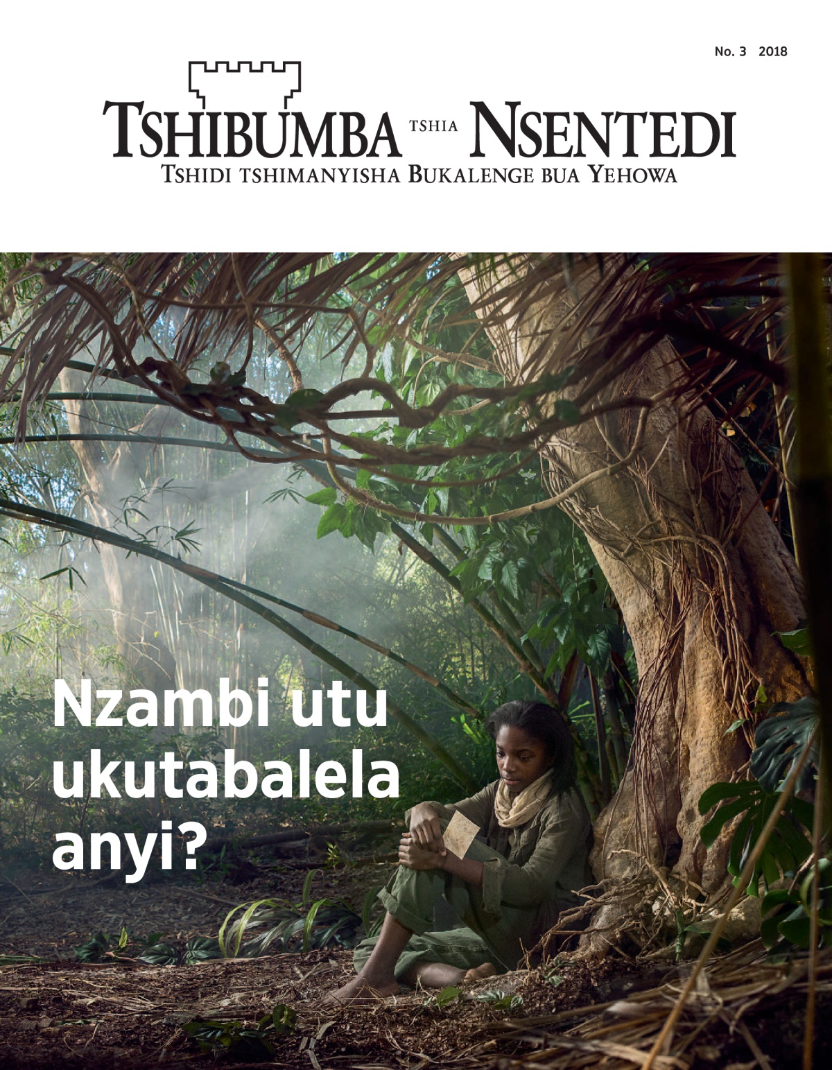 ‘Tshibumba tshia Nsentedi’ No. 3 2018.