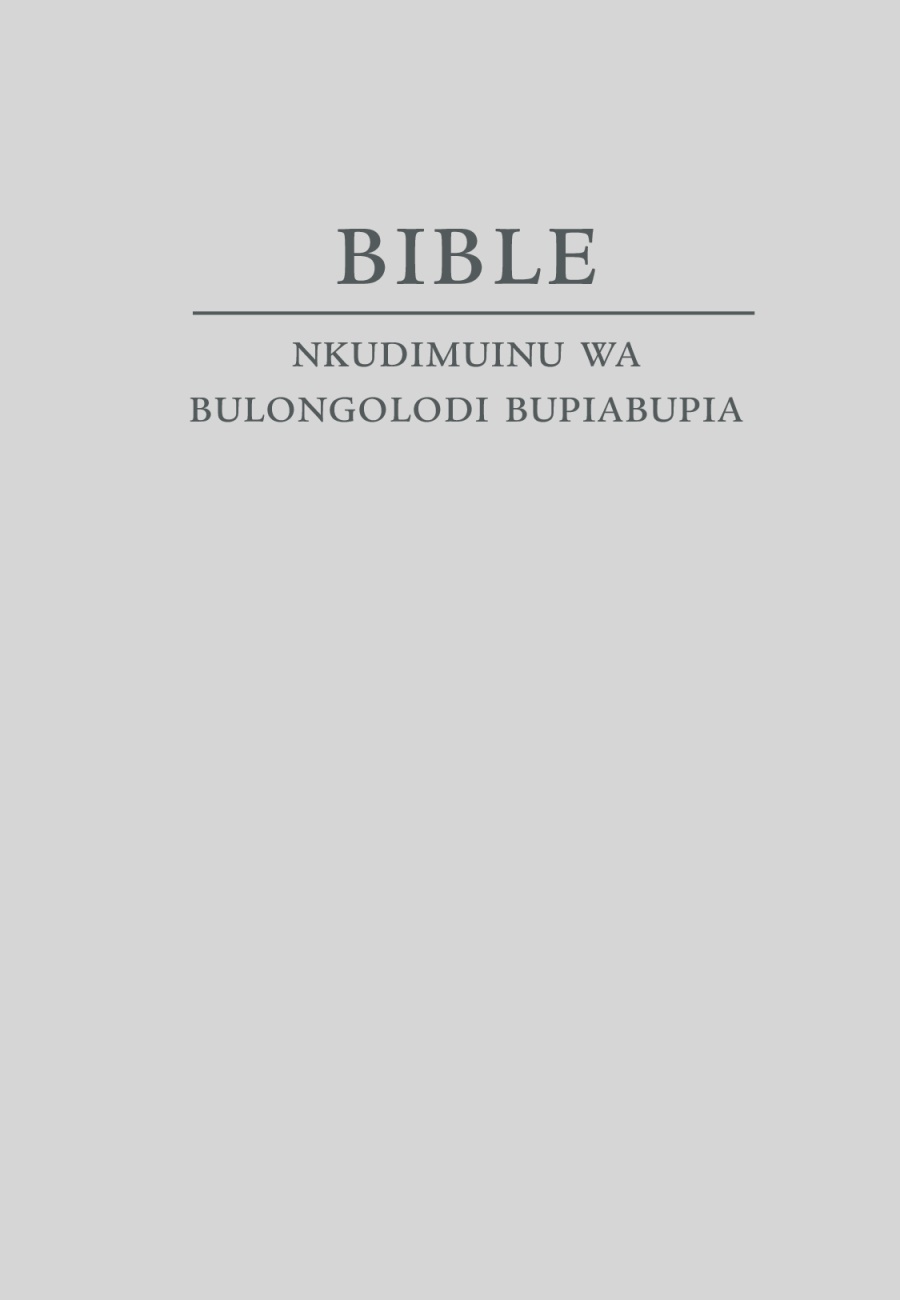 Tshizubu tshia Bible—Nkudimuinu wa bulongolodi bupiabupia