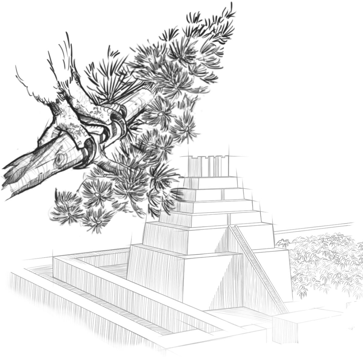 Nyunyi wa mukanku muambule lutonga lua mutshi wa sedre nzadi uya nalu mu Babilona.