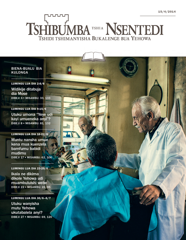 Tshibumba tshia Nsentedi tshia kulonga, 15/04/2014