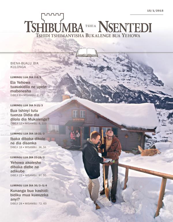 Tshizubu tshia Tshibumba tshia Nsentedi tshia kulonga, 15/1/2015