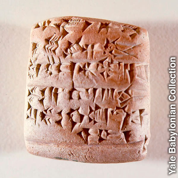 Muvuabu bumvuangana kale bua disumbishangana dia mikoko ne mbuji