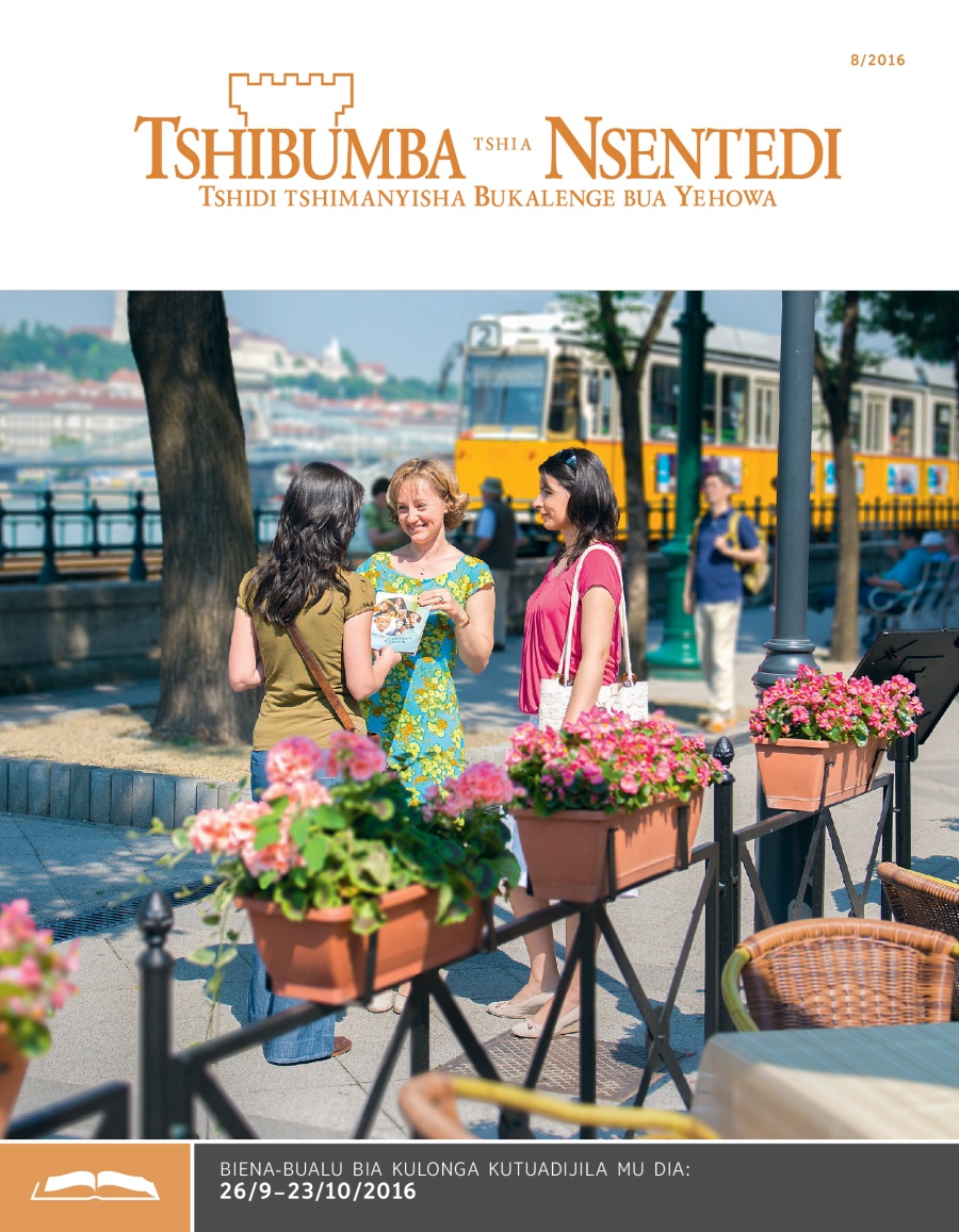 Tshibumba tshia Nsentedi tshia kulonga, Ngondo wa 8 2016