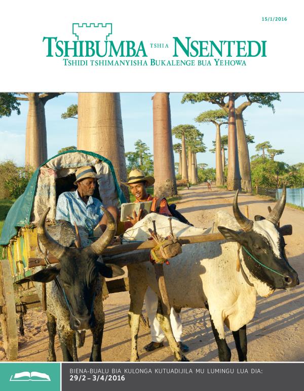 Tshibumba tshia Nsentedi tshia kulonga, Ngondo wa 1 2016