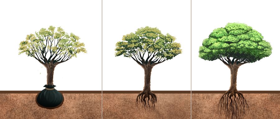 Mutshi udibu batentule utuadija kuela miji mipiamipia ku kakese ku kakese