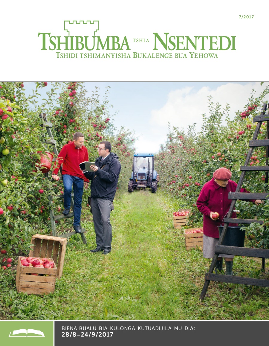 Tshibumba tshia Nsentedi tshia kulonga, Ngondo 7/2017
