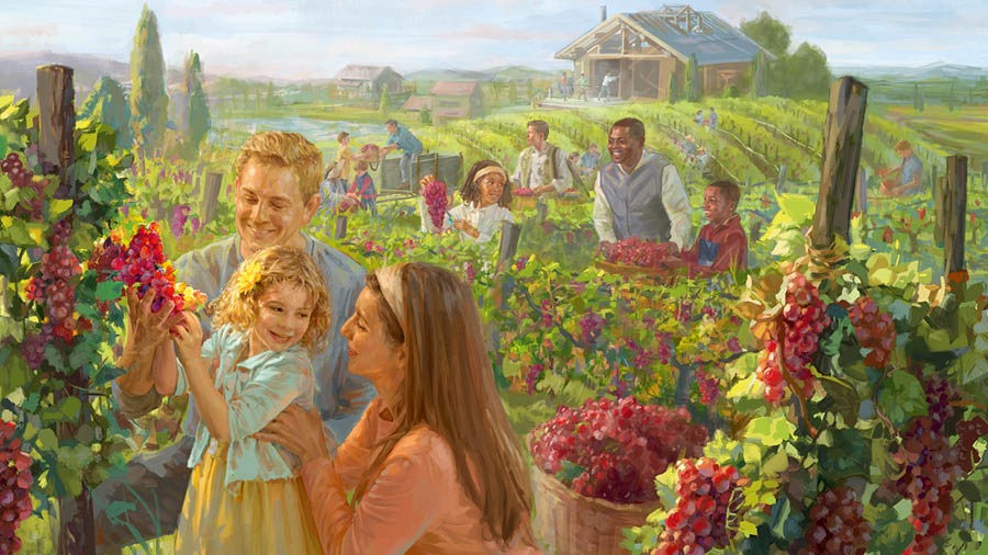 Mêku a bantu ba makoba mashilashilangane atula tumuma tua mvinyo mu bulongolodi bupiabupia