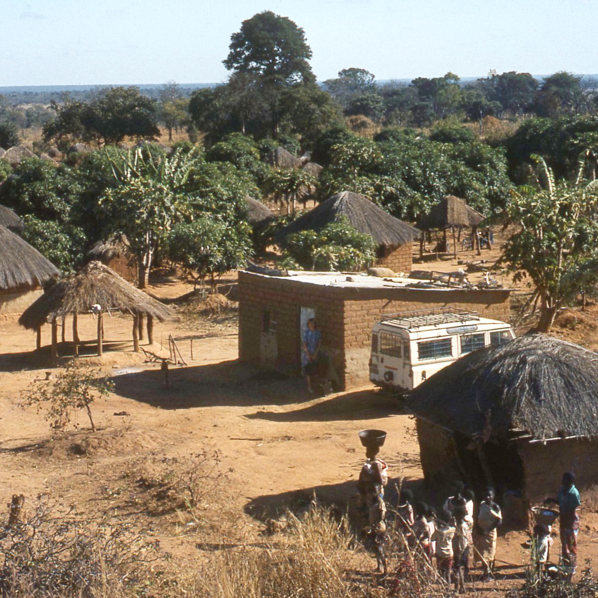 Kazubu kakese ka mu kamusoko kampanda ka mua Zaïre.