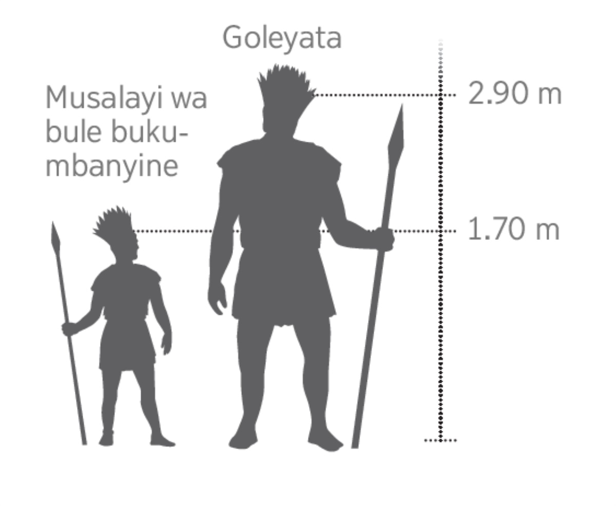 Katshimfuanyi ka bule bua Goleyata bufuanyikija ne bua musalayi wa bule bukumbanyina