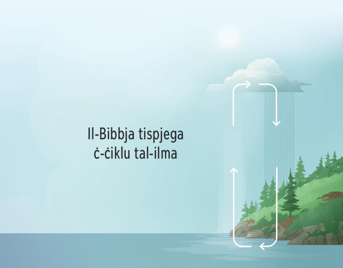 Il-Bibbja tispjega iċ-ċiklu tal-ilma. Il-vleġeġ iduru mix-xellug għal-lemin bħalma jdur l-ilma mill-art għall-atmosfera