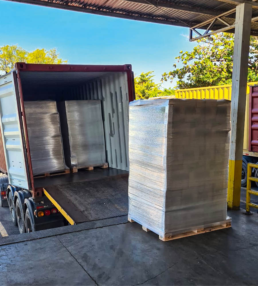 Iin carro xa̱a̱ íyo tu̱ʼvanú ña̱ ku̱ʼu̱nnú xíʼin ña̱ kuxu na̱ hermano.