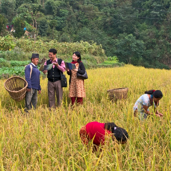 Na̱ testigo Jehová xíkana nátúʼunna xa̱ʼa tu̱ʼu Ndióxi̱ xíʼin na̱ yiví
