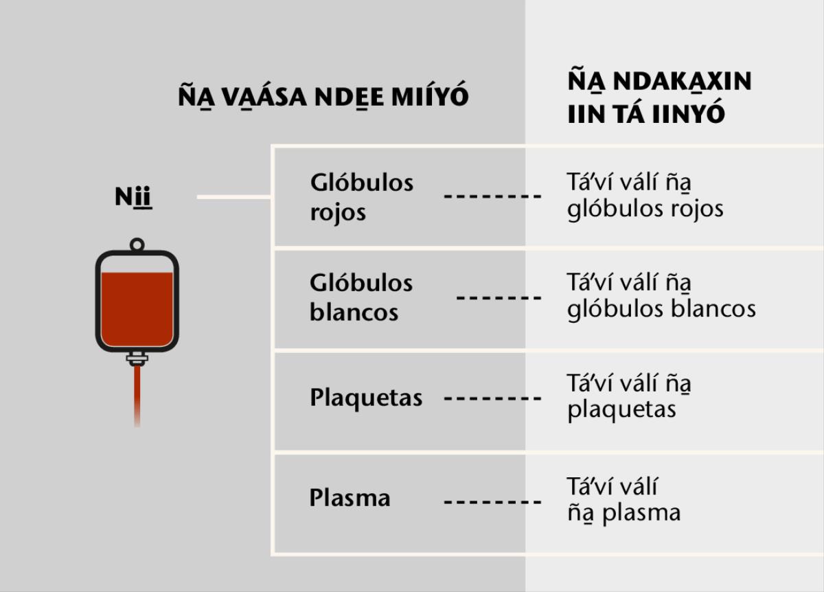Ni̱i̱, ku̱mí táʼví ña̱ ni̱i̱ xíʼin táʼví válí ña̱ ni̱i̱
