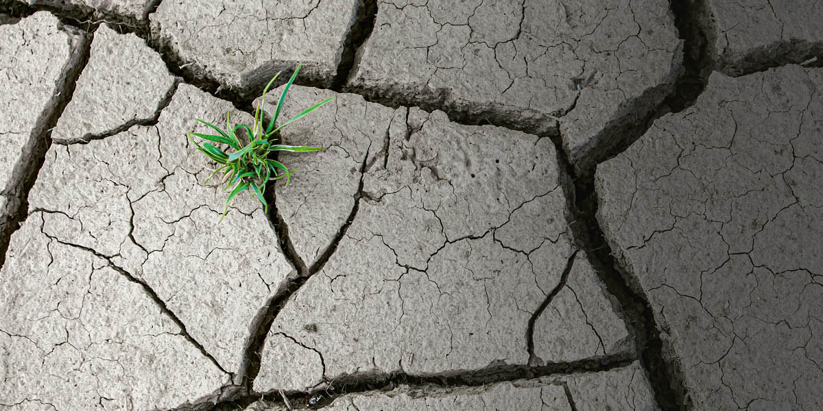 Xa̱ʼa̱ ña̱ ndeéní niʼní, ni̱yi̱chi̱ ndiʼi yitu̱n ta ndáa si̱ín kuití yitu̱n níndichi.