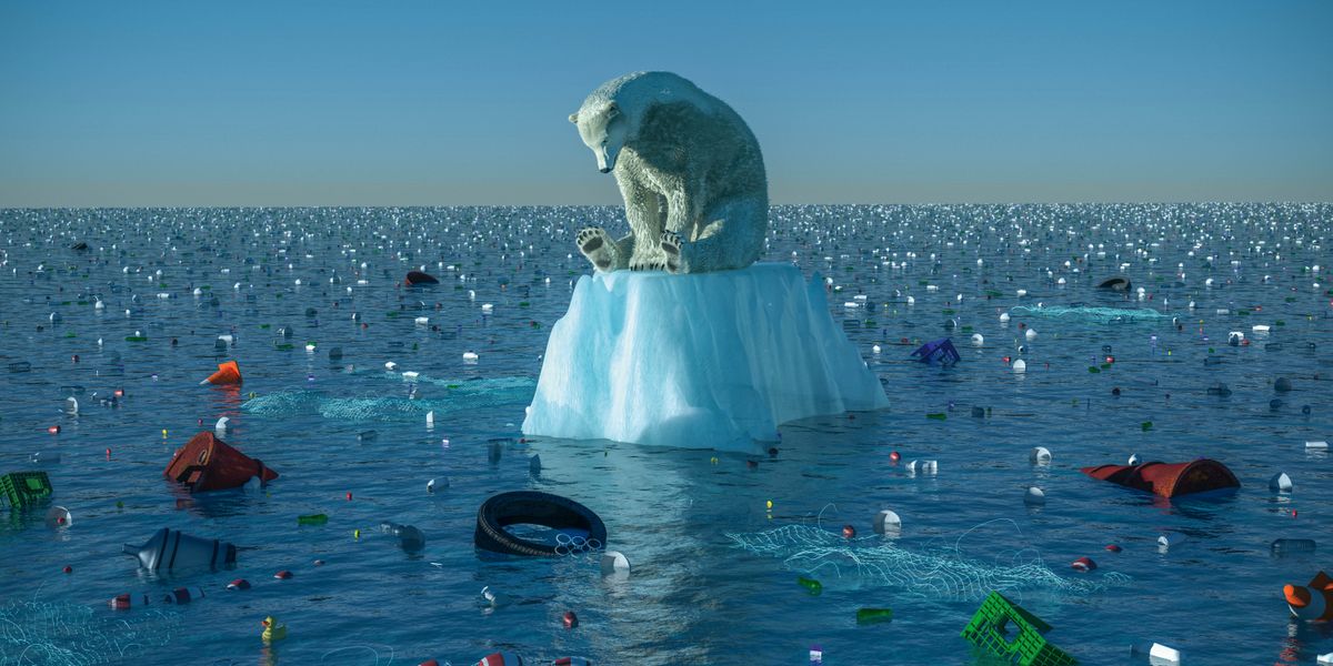 Iin tí oso polar yaku̱a̱nírí ta ndáʼvikaví káarí kánuurí nu̱ú iin ñaʼñu hielo nu̱ú chútúní mi̱ʼí.