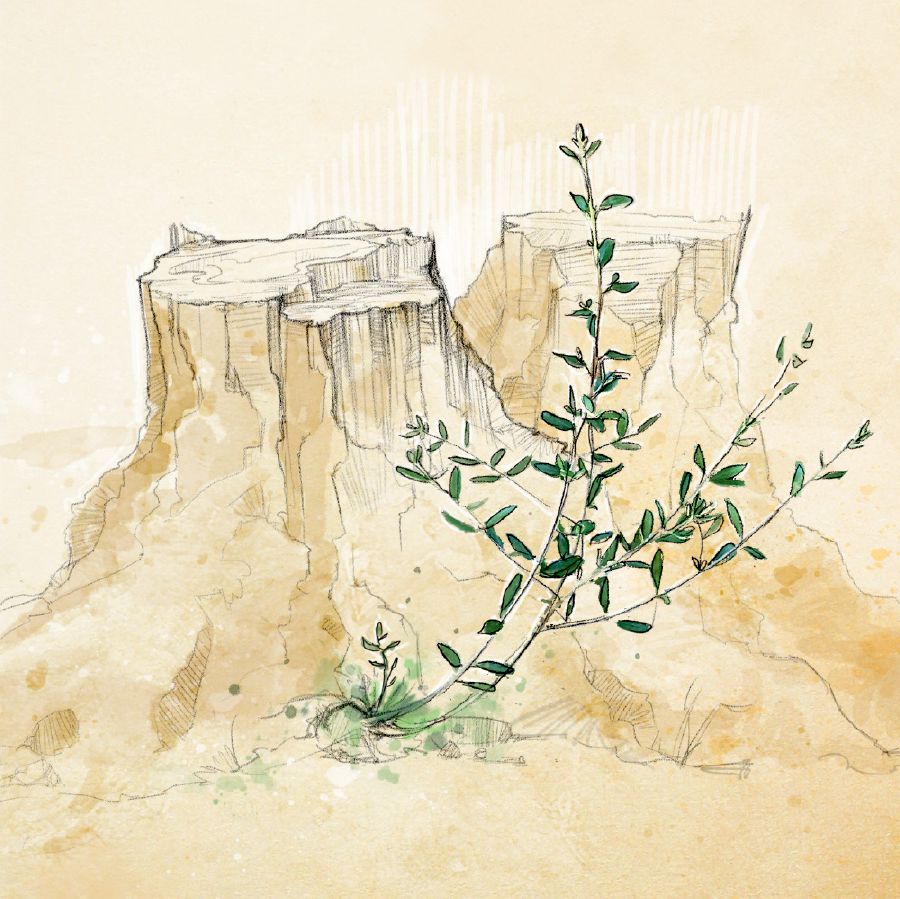 Chí xa̱ʼa tikundu yi̱chí yóʼo kána ndaʼa̱nú