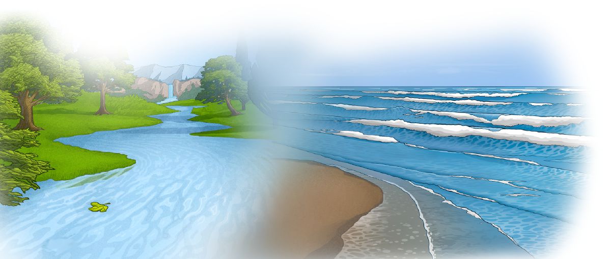 Nu̱ú ku̱a̱ʼa̱n yu̱ta xíʼin ola tá mar