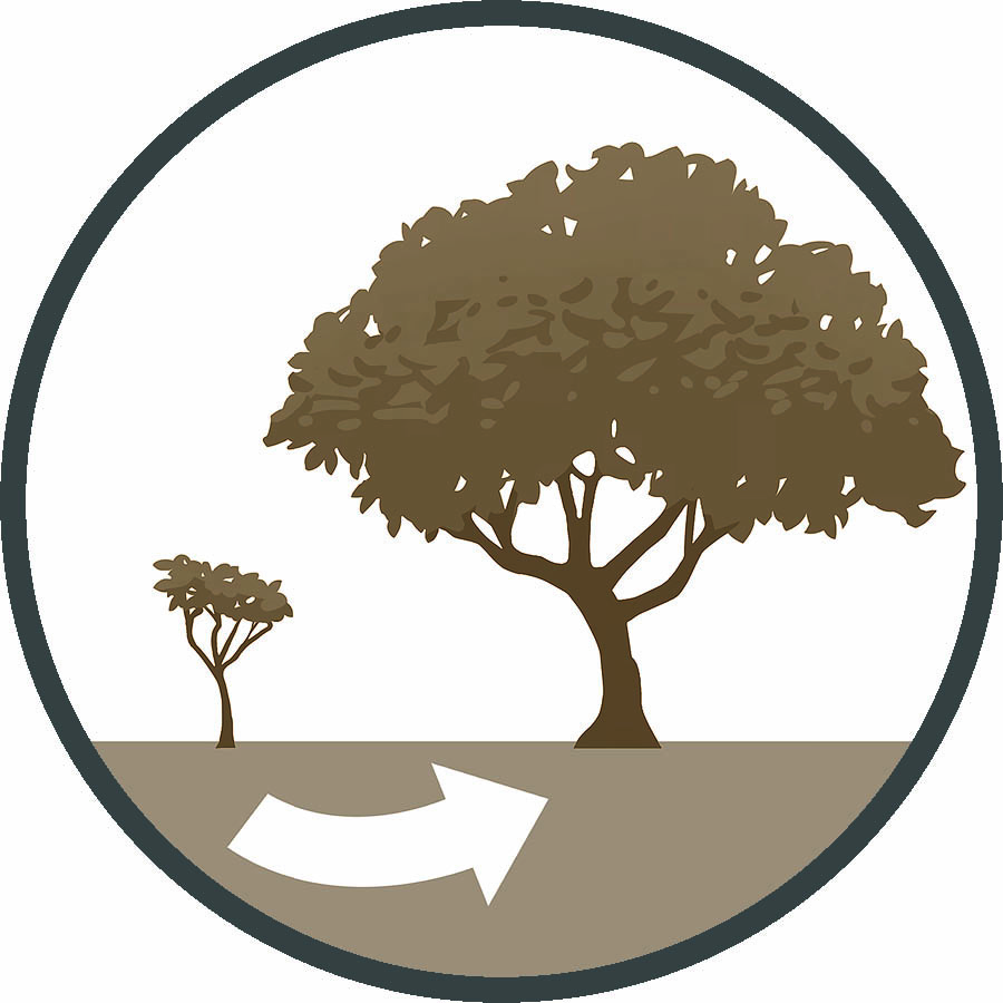 Ndo̱ʼoní na̱ ñuu Babilonia chi 13 ku̱i̱ya̱ ni̱ya̱ʼa saáví ni̱ki̱ʼvina ñuu Tiro