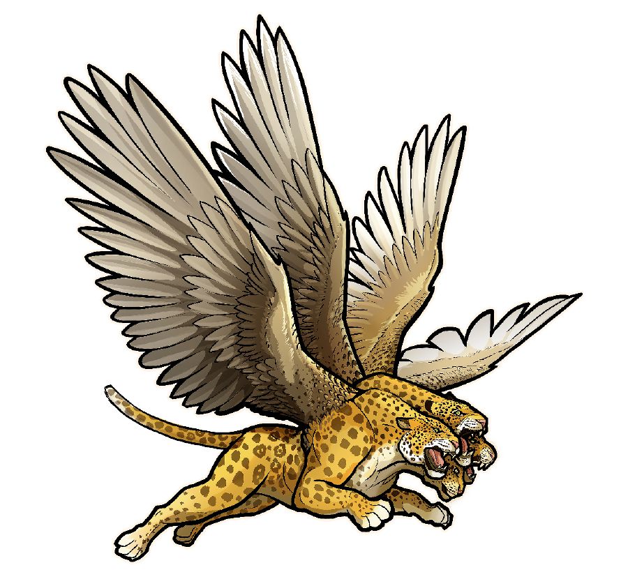 Tá káa tí leopardo saá káarí ta ku̱mí kúú xi̱nírí ta ku̱mí kúú ndi̱xi̱nrí