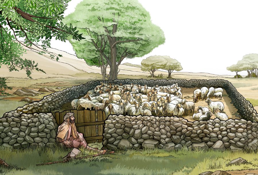 Iin ta̱ pastor ndáara chí yéʼé nu̱ú ñúʼu ndikachi sa̱na̱ra