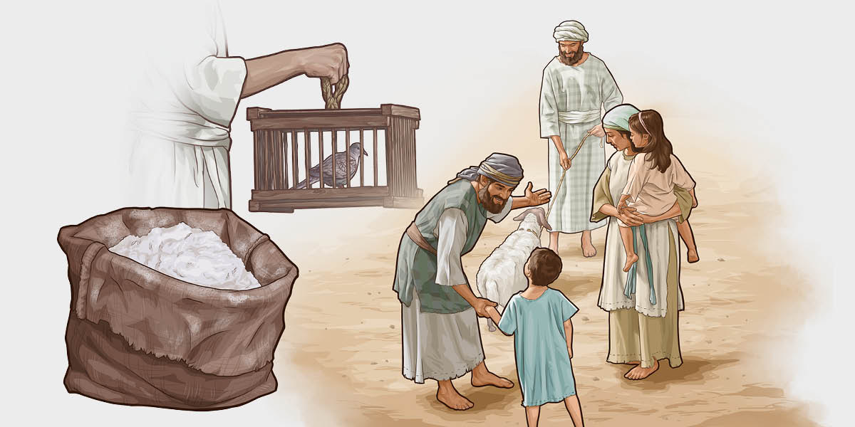 Na̱ʼná nu̱ú va̱xi, ofrenda ña̱ xa̱a̱ síín síín íyo ña̱ xi̱taxi na̱ ñuu Israel ndaʼa̱ Jehová: 1. Harina mií ña̱ va̱ʼaní. 2. Iin sa̱ta. 3. Iin ndikachi tí ku̱a̱ʼa̱n xíʼin iin familia ta ta̱xinarí ndaʼa̱ iin ta̱ su̱tu̱.