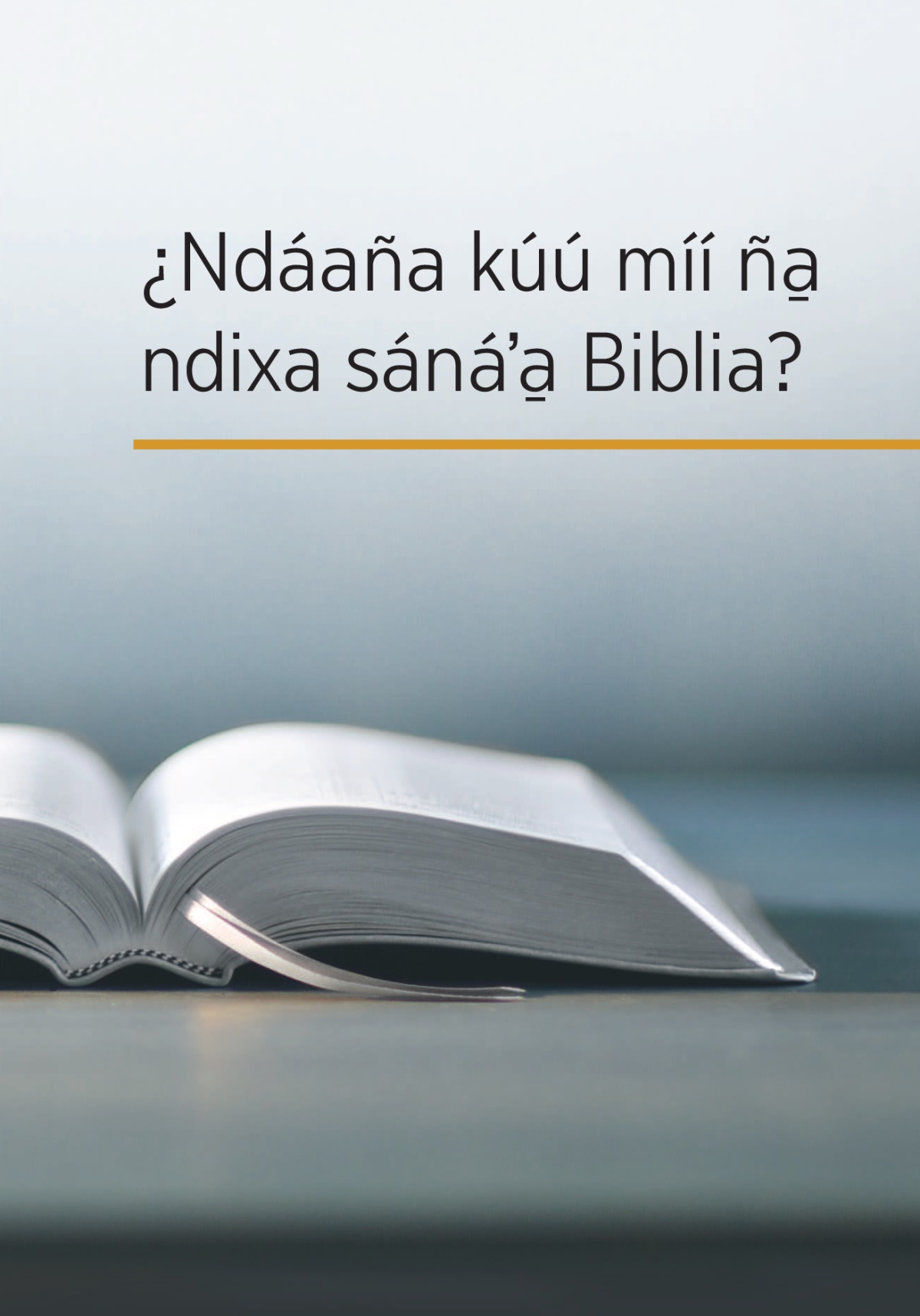 Ña̱ libro ¿Ndáaña kúú míí ña̱ ndixa sánáʼa̱ Biblia?