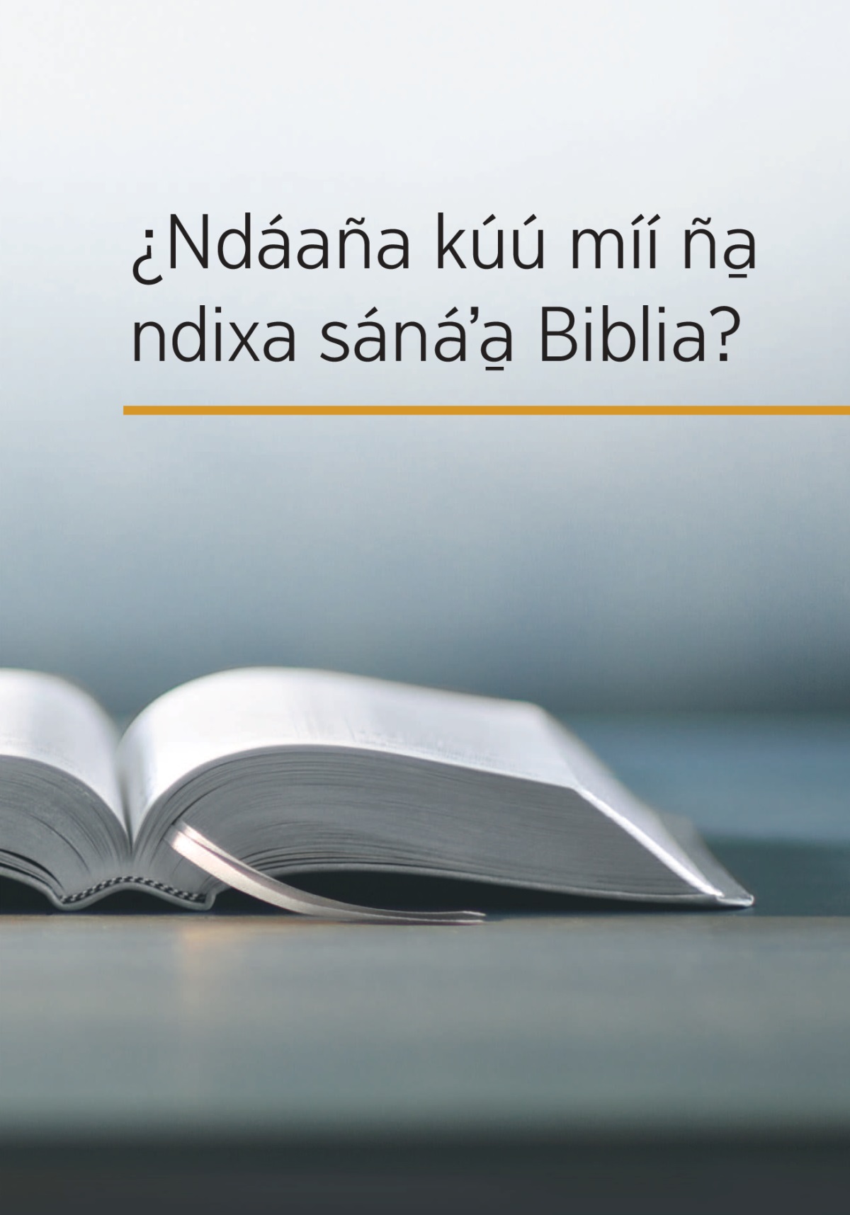 Libro ña̱ naní ¿Ndáaña kúú míí ña̱ ndixa sánáʼa̱ Biblia?