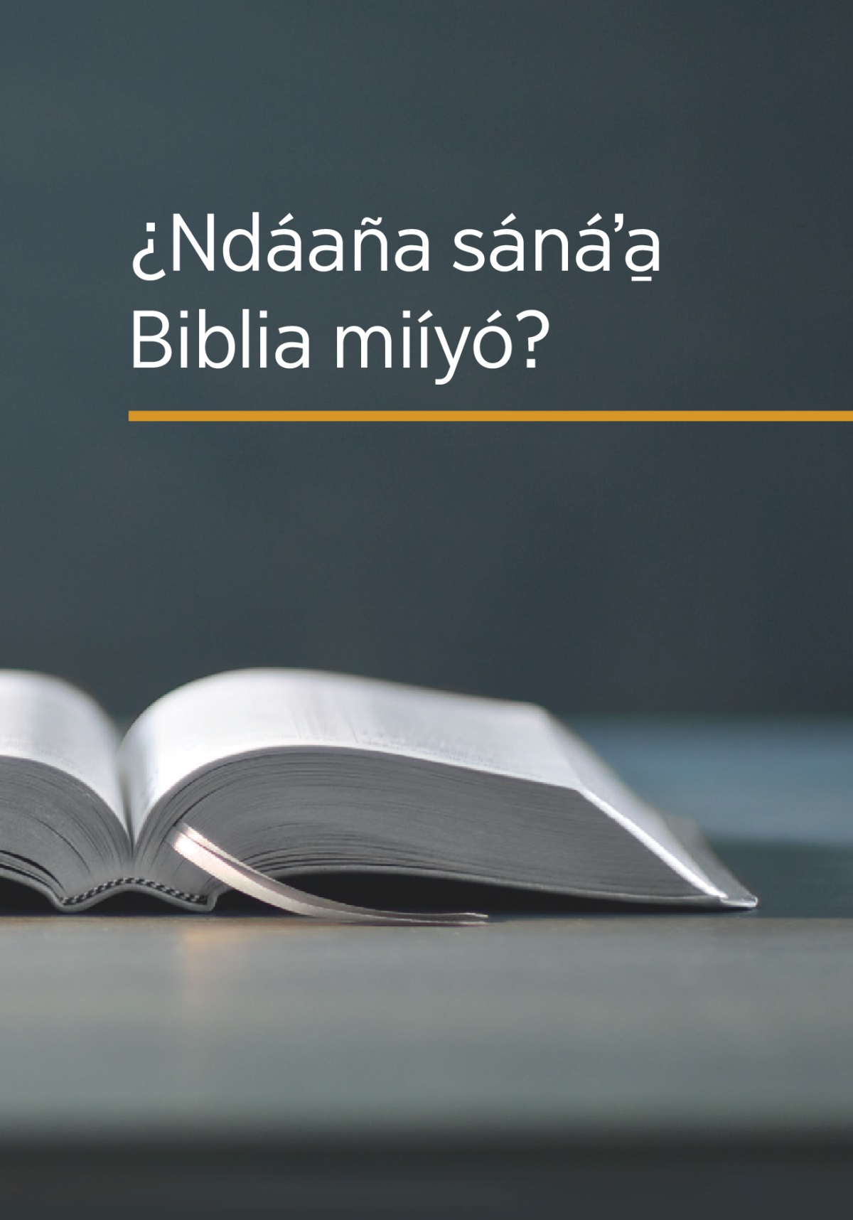 Ña̱ libro ¿Ndáaña sánáʼa̱ Biblia miíyó?