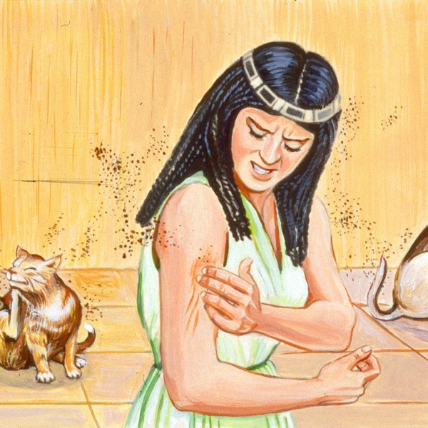 Tí ti̱xe̱ʼe xáxírí iin ñaʼá, ña̱yóʼo kúú tu̱ndóʼo ña̱ u̱ni̱