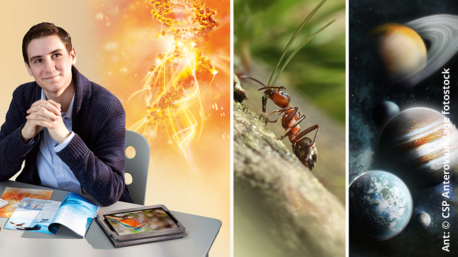 Iin ta̱ loʼo káʼvira xa̱ʼa̱ ña̱ʼa ña̱ i̱xava̱ʼa Ndióxi̱, saátu káʼvira libro ña̱ naní “¿Existe un Creador que se interese por nosotros?” xíʼin folleto ña̱ naní “¿Es la vida obra de un Creador?” ta saátu ña̱ naní “El origen de la vida. Cinco cuestiones dignas de análisis”. Nu̱ú va̱xi ku̱a̱ʼá na̱ʼná: 1. ADN. 2. Iin ti̱o̱kó á lasuʼú. 3. Planeta ña̱ íyo chí ndiví.