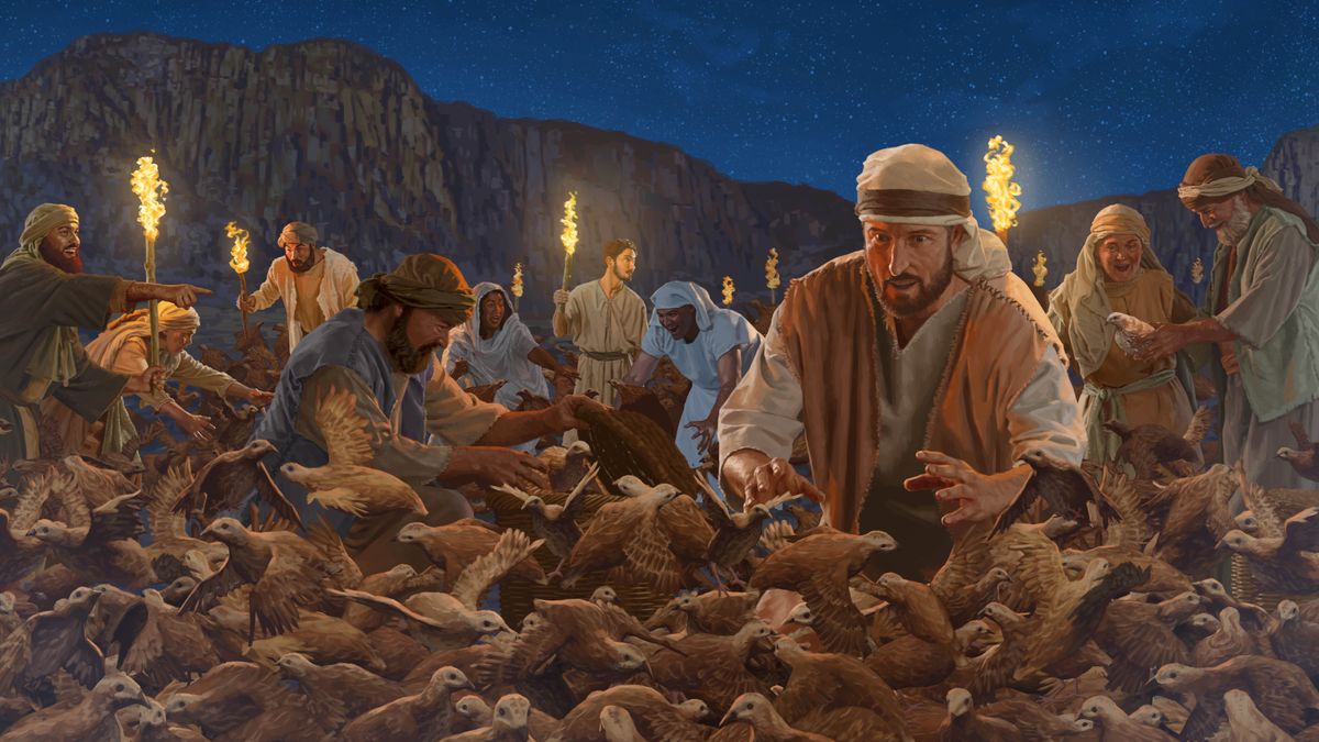 Tá ñuú, ku̱a̱ʼání na̱ ñuu Israel ñúʼuna ndákayana tí codorniz chí nu̱ú ñuʼú yi̱chí.