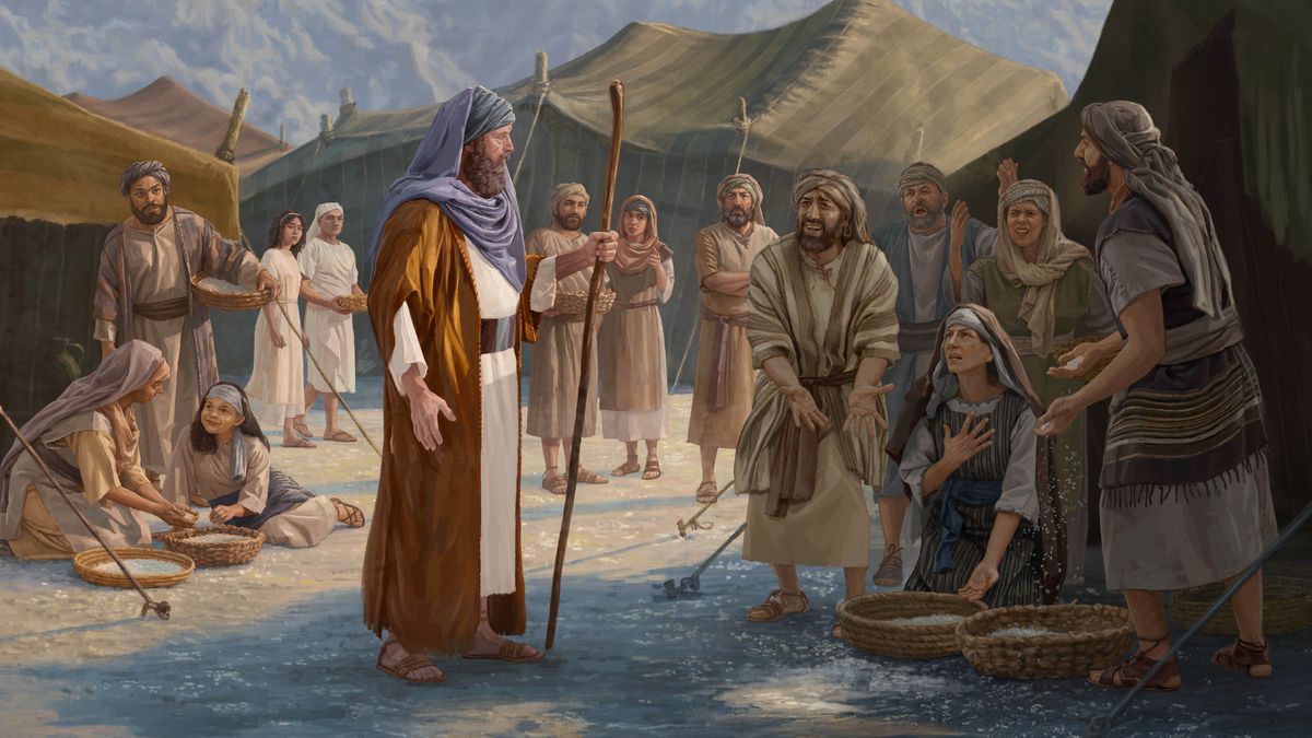 Sava na̱ israelita káʼa̱n kúáchina xíʼin ta̱ Moisés xa̱ʼa̱ maná, ta inkana ndákaya ña̱yóʼo.