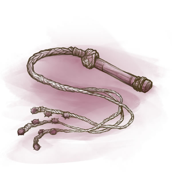 A whip for scourging