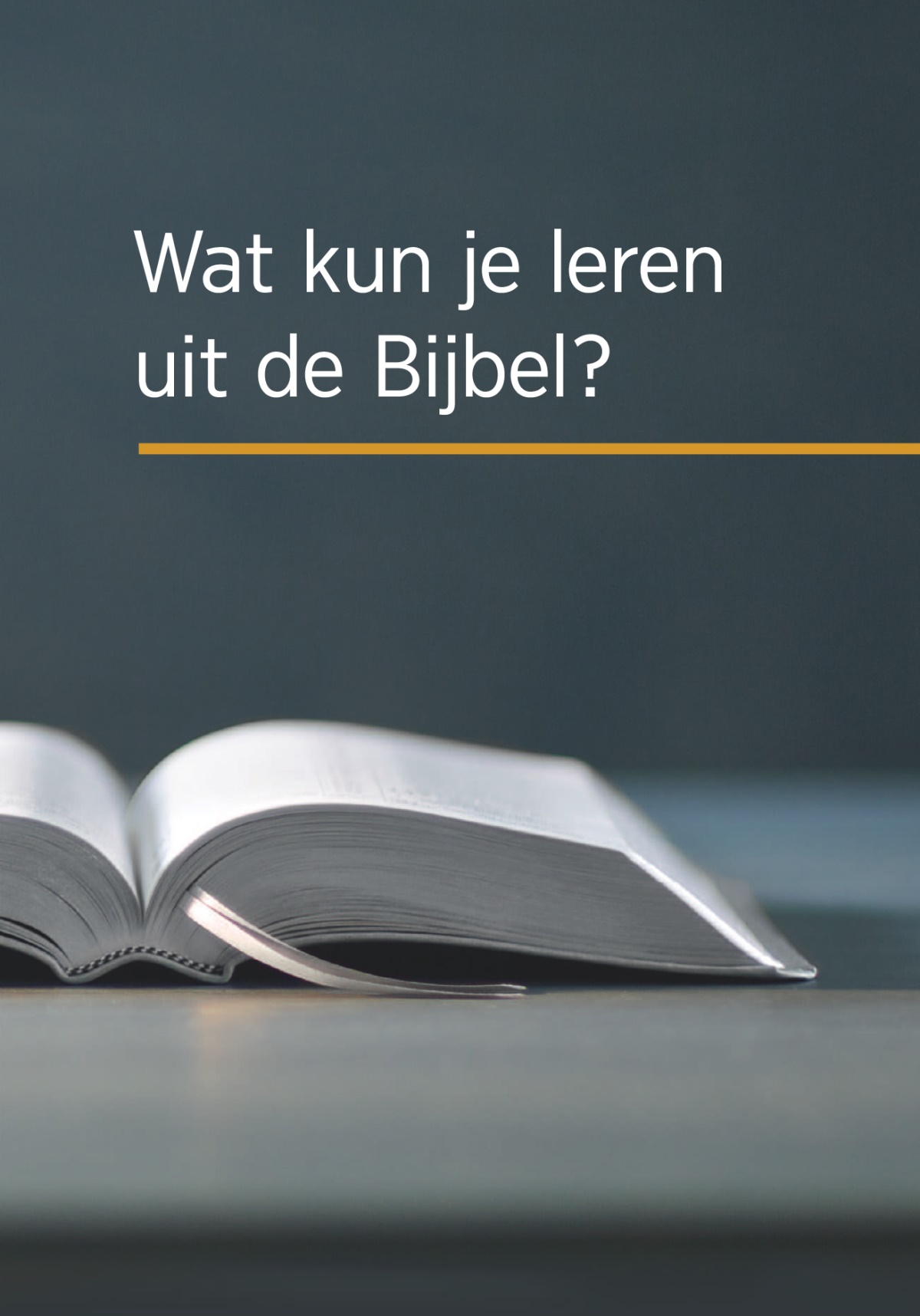 Het boek ‘Wat kun je leren uit de Bijbel?’